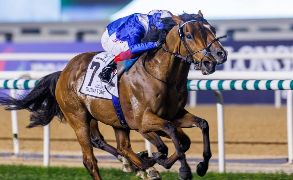 le roi du turf || leroiduturf